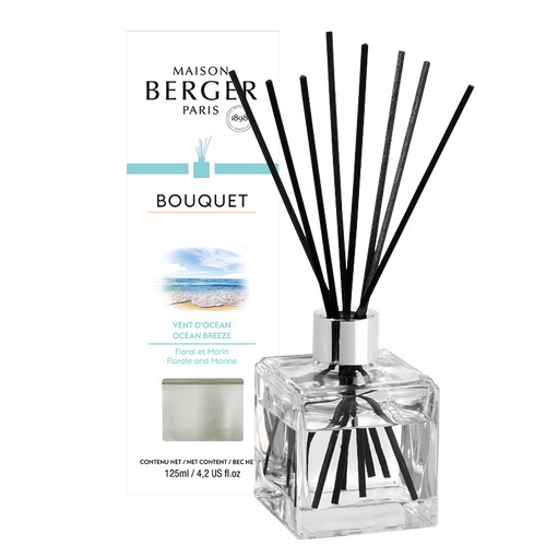 Lampe berger diffusore vent - berger,